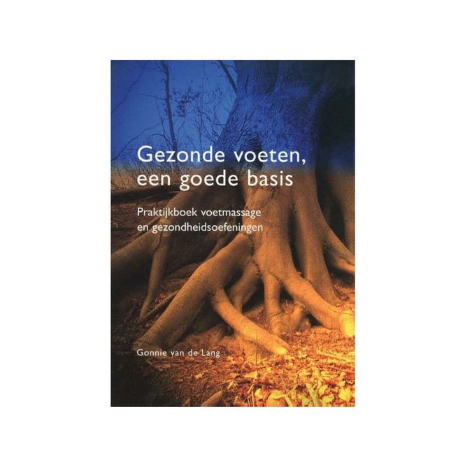 Hoofdbeeld Gezonde Voeten, een Goede Basis -  Gonnie van de Lang 